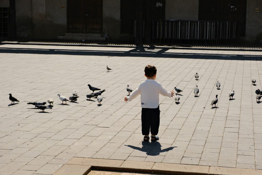 eddie-zhao-6CM61yCRQiU-unsplash