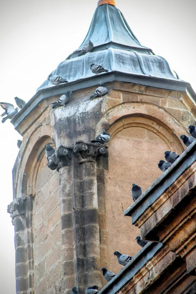 hatice-unal-7mJAkNwauwI-unsplash