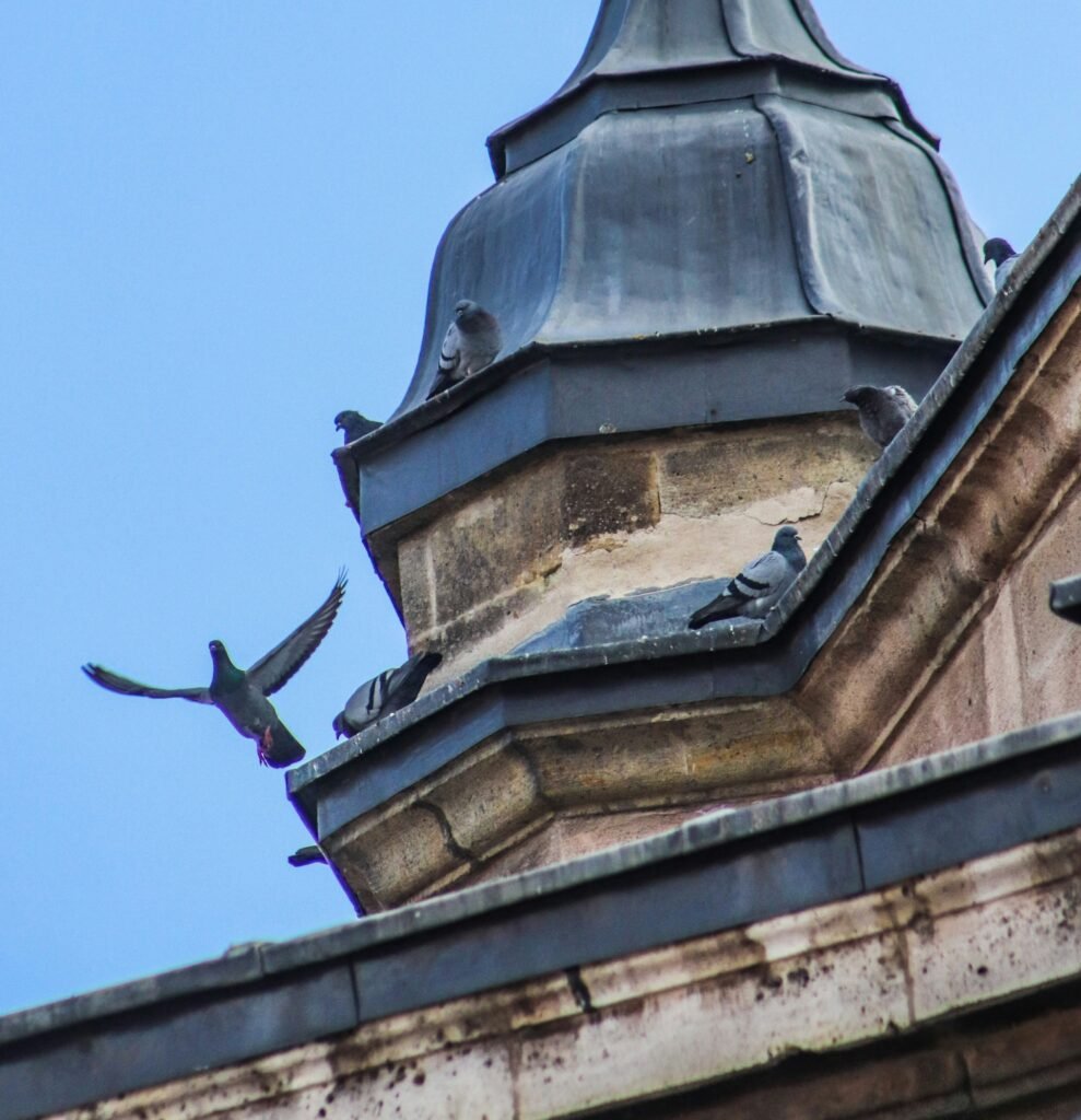 hatice-unal-GSxx4TLF9BE-unsplash copie