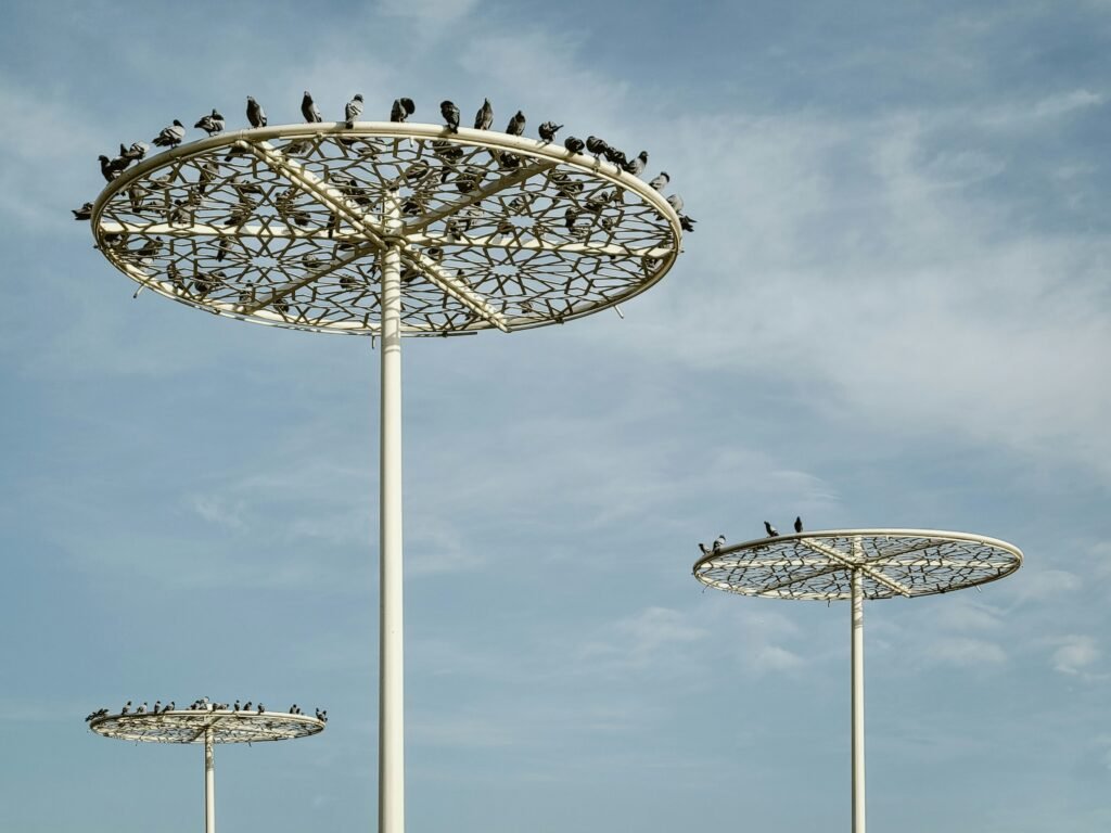 haythem-gataa-rF-PfeGwv3U-unsplash