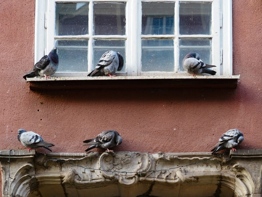 lidia-stawinska-EM53YgTmThg-unsplash