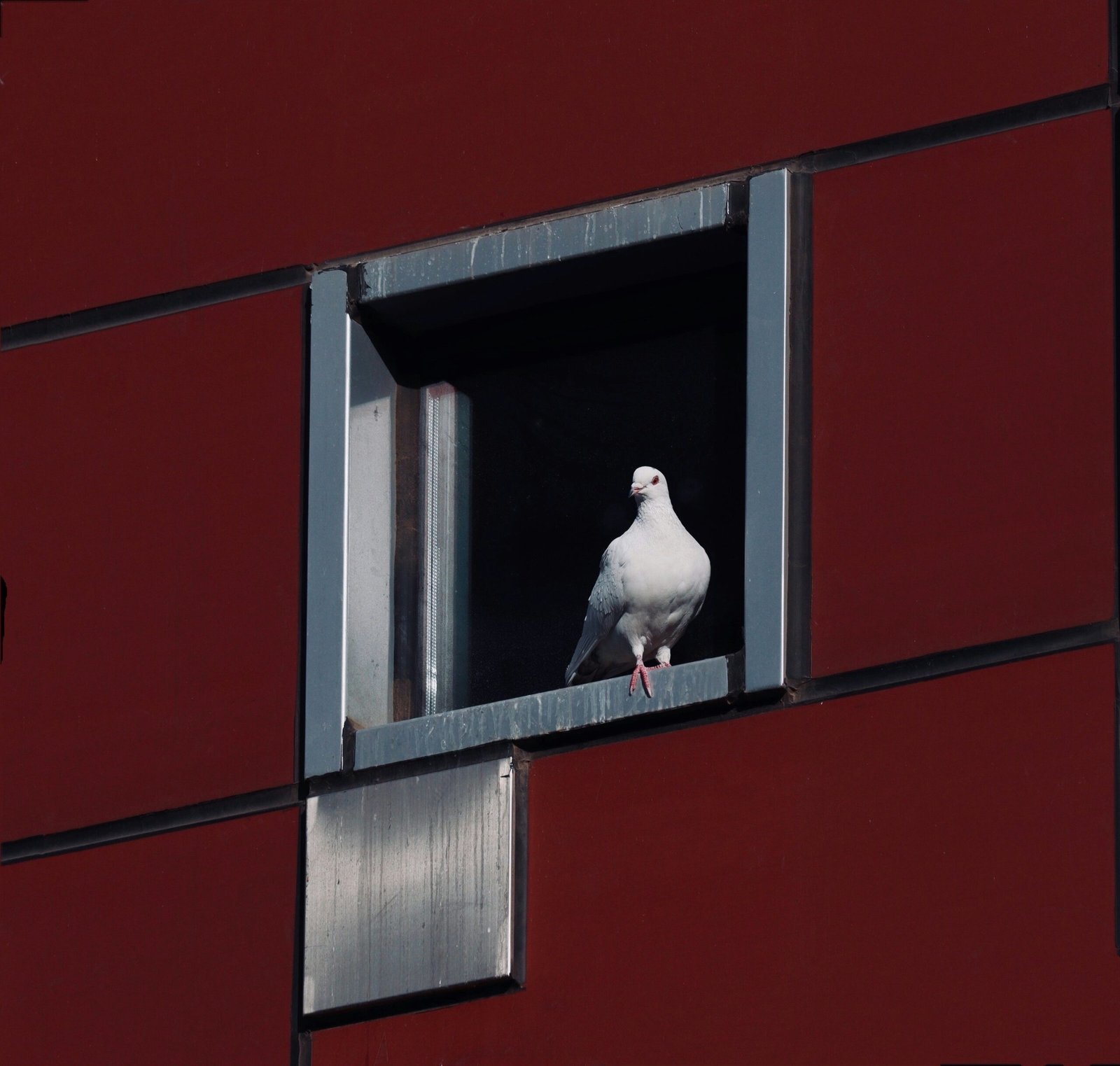 rachel-fang-xOmB9opmrUs-unsplash