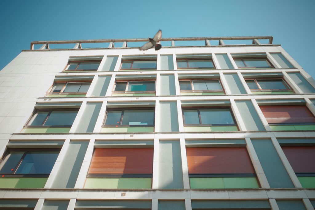 valentin-ciccarone-GFhUjzUcp2s-unsplash