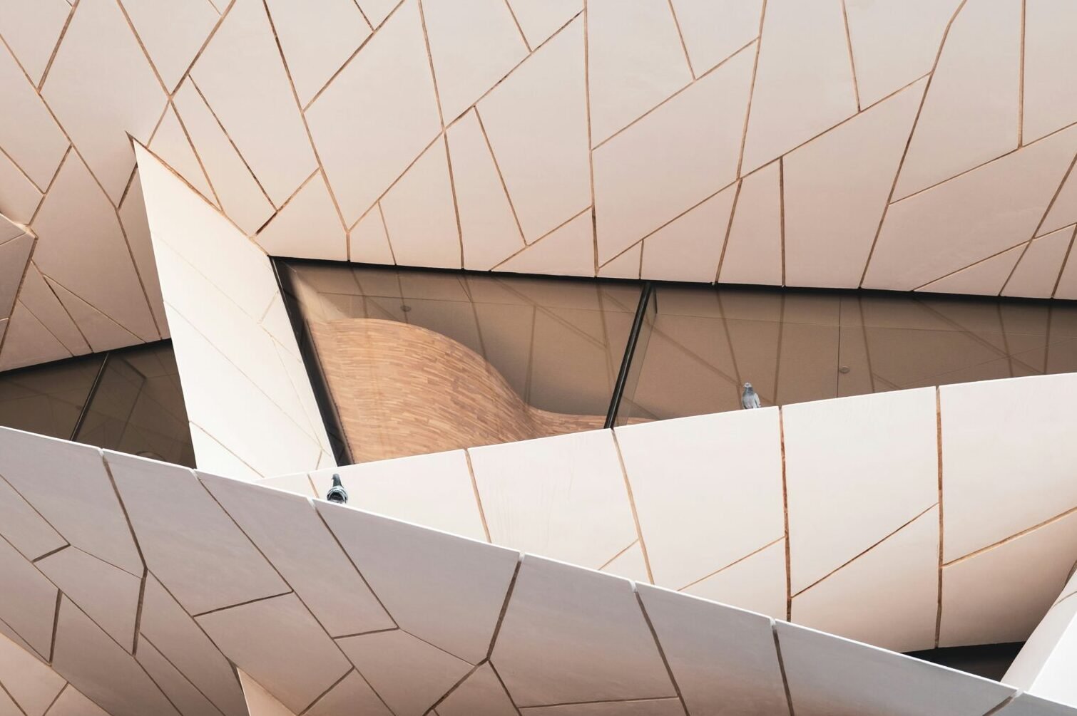 letian-zhang-OeSwEkK5B7A-unsplash